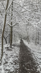 Similar image 21300388