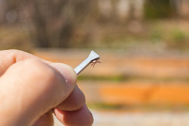 Similar image 21309013