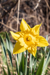 Similar image 21309014