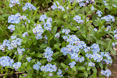 Similar image 21313536