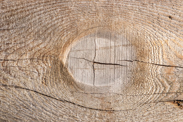 Similar image 21309016