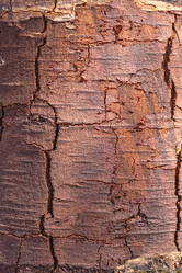 Similar image 21313397