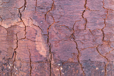 Similar image 21313417