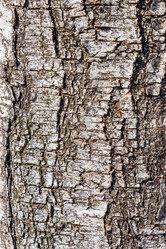 Similar image 21313437