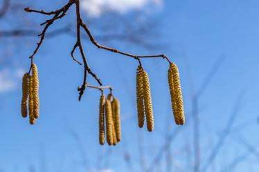 Similar image 21313457