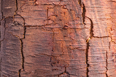 Similar image 21313458