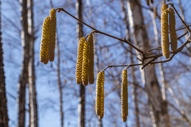 Similar image 21313538