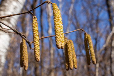 Similar image 21313540