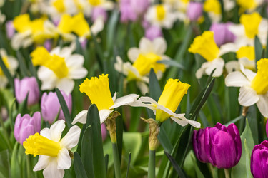 Similar image 21309017