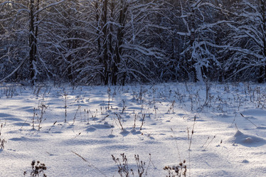 Similar image 21309022