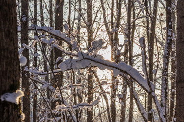 Similar image 21313400