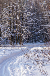 Similar image 21313440