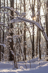 Similar image 21313463