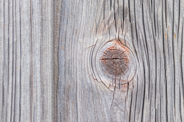 Similar image 21313549