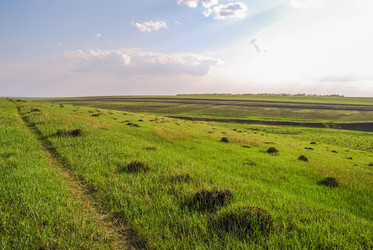 Similar image 21313471