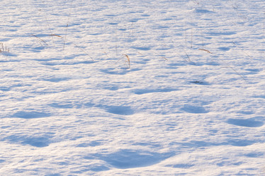 Similar image 21313560