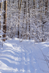 Similar image 21313564