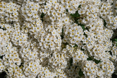 Similar image 21309029