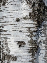 Similar image 21313422