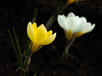 Similar image 21313565