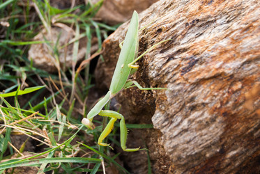 Similar image 21309031