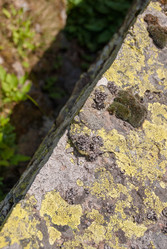 Similar image 21313573