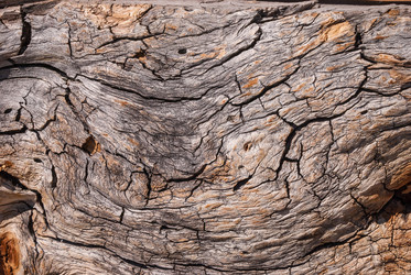 Similar image 21313575