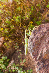 Similar image 21313487