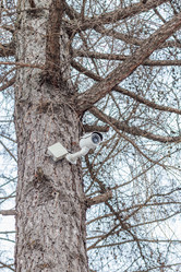 Similar image 21313424