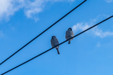 Similar image 21313489