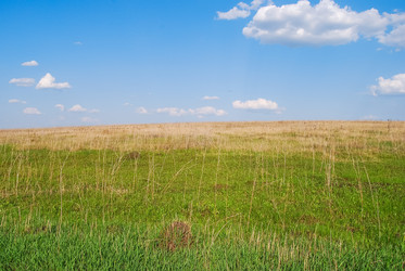 Similar image 21313576