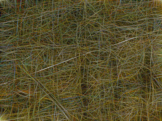 Similar image 21313493