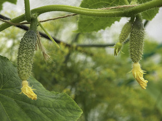 Similar image 21313582