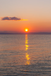 Similar image 21313497