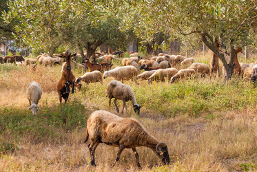 Similar image 21313498