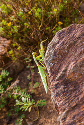 Similar image 21313499