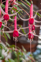 Similar image 21313585