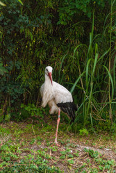 Similar image 21309041