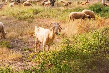 Similar image 21313587