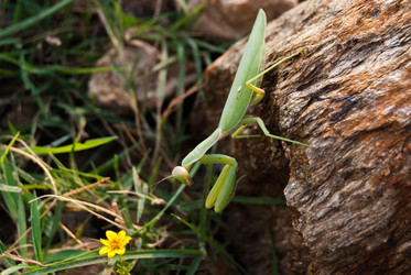 Similar image 21313588