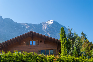 Similar image 21313505