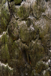 Similar image 21313590