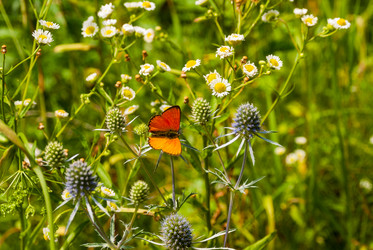 Similar image 21313592