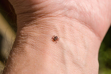 Similar image 21313593