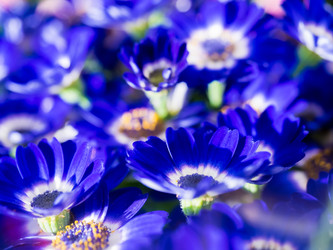 Similar image 21313401