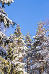 Similar image 21313508