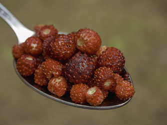 Similar image 21313596