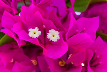 Similar image 21309045