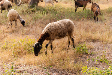 Similar image 21313511