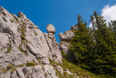 Similar image 21313601